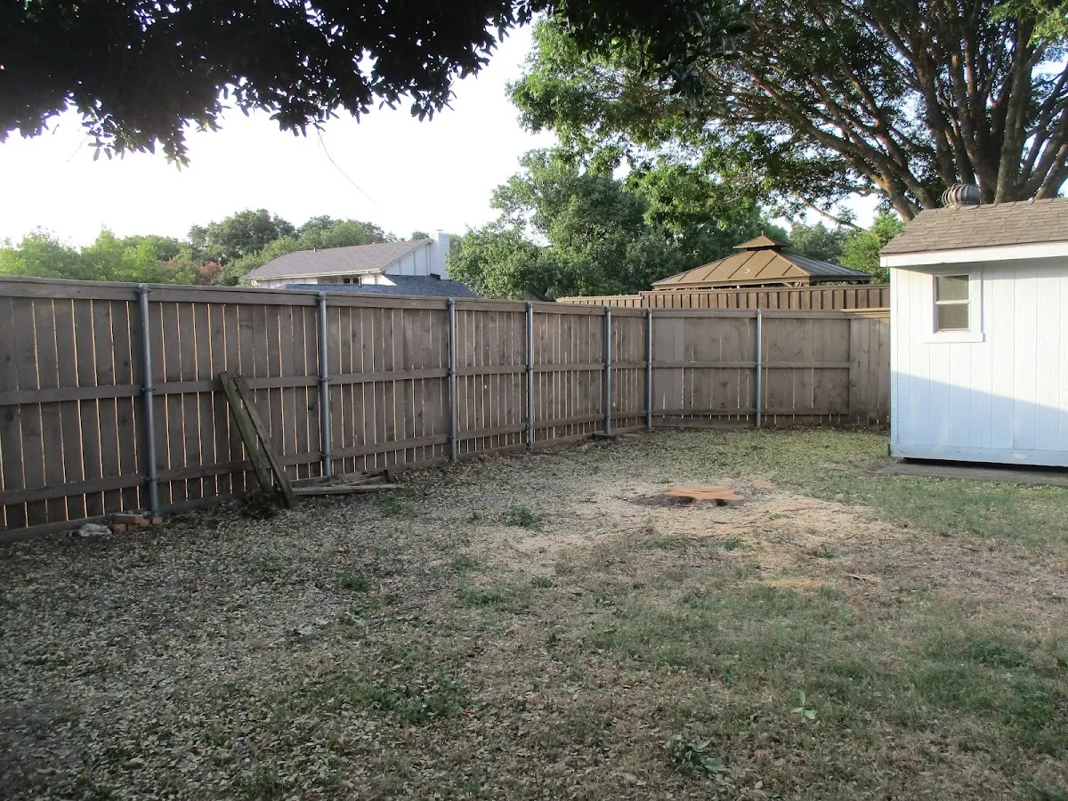 Cleared yard after professional tree removal in Silverdale